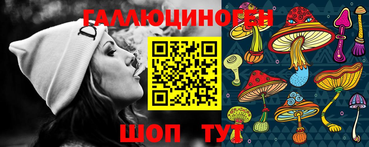 Галлюциногенные грибы GOLDEN TEACHER  Псилоцибиновые грибы MAGIC MUSHROOMS  где найти наркотики  Вход с VPN  Ставрополь 